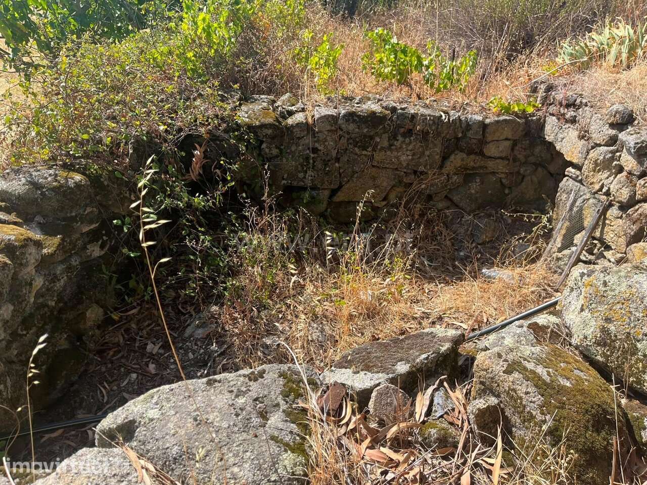 Terreno com ruina / Fundão, Quintas da Torre - Grande imagem: 3/16