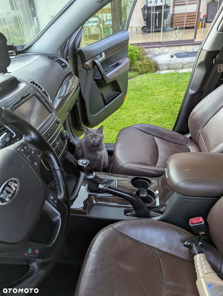 Kia Sorento 2.0 CRDI L 7os - 14