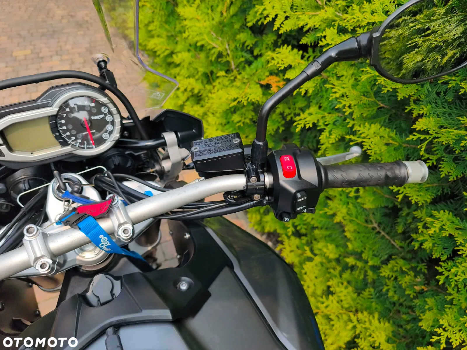 Triumph Tiger - 27