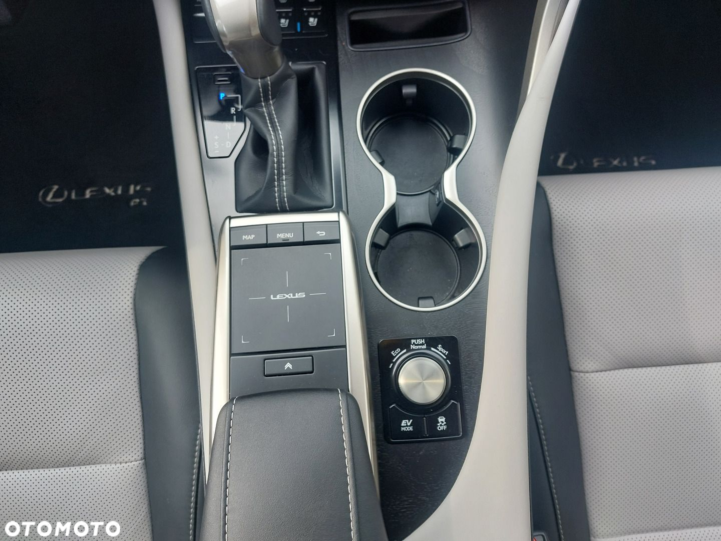 Lexus RX 450h F-Impression - 29
