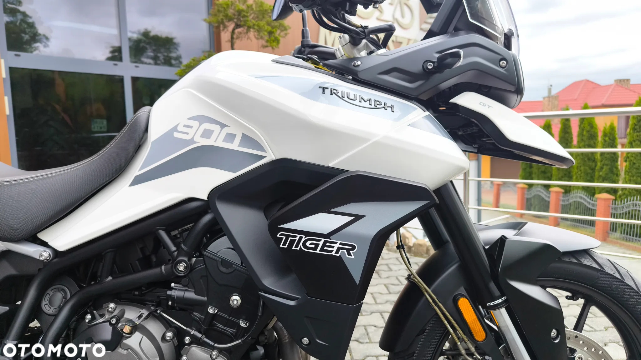 Triumph Tiger - 33