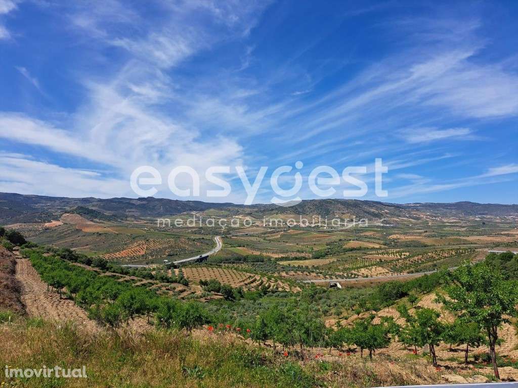 Moradia para recuperar na aldeia de Nozelos, Torre de Moncorvo. - Grande imagem: 3/15