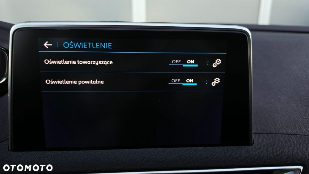 Peugeot 3008 - 19