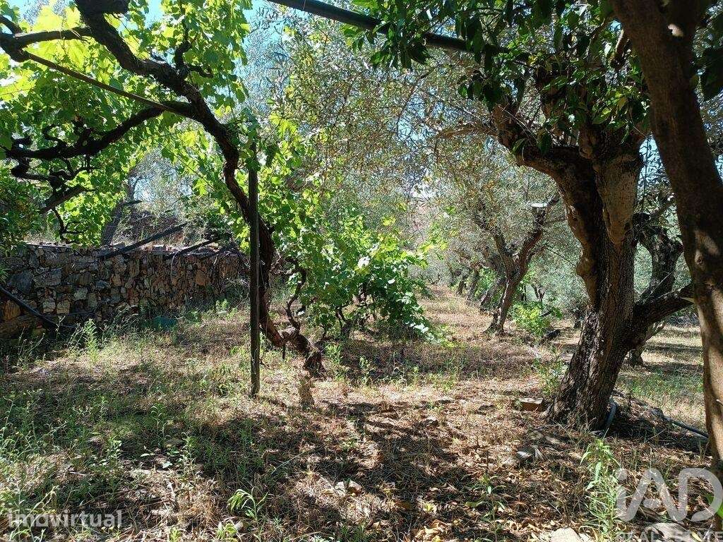 Terreno Agrícola em Poiares de 1900,00 m2 - Grande imagem: 5/28