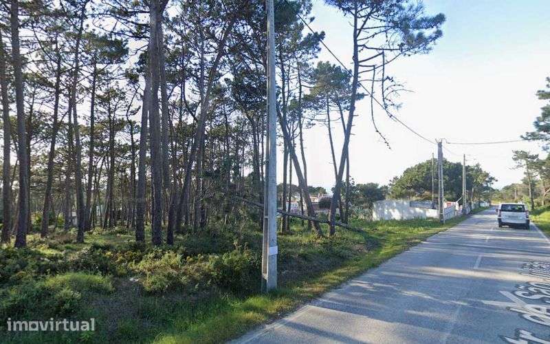 Terreno Rústico Pinhal com 2280 m² Praia São Julião - Grande imagem: 2/3