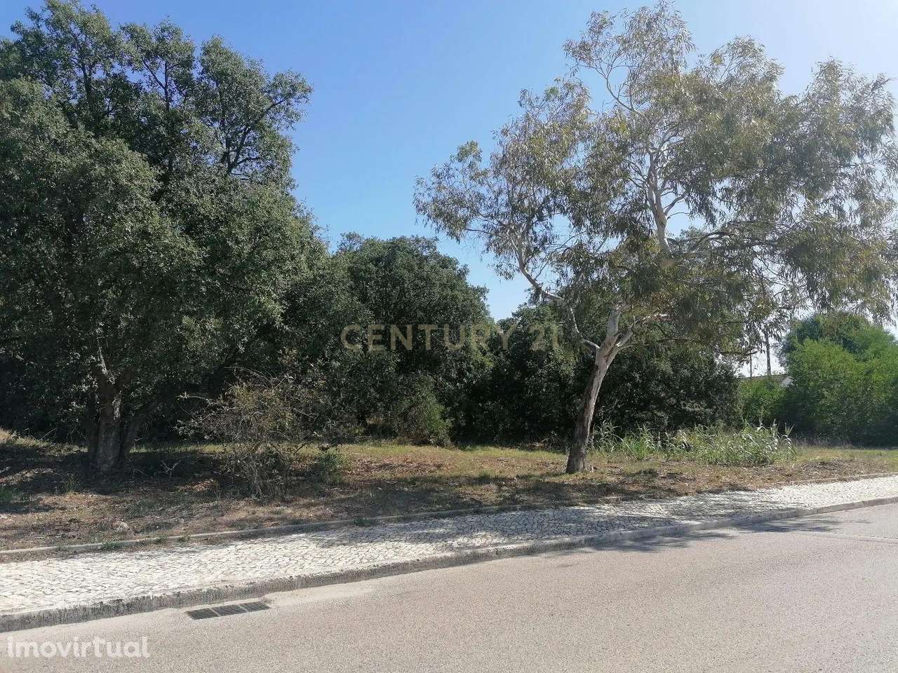 Terreno Rústico em Qta S. João, Palhais - 2459m2 - Grande imagem: 2/18