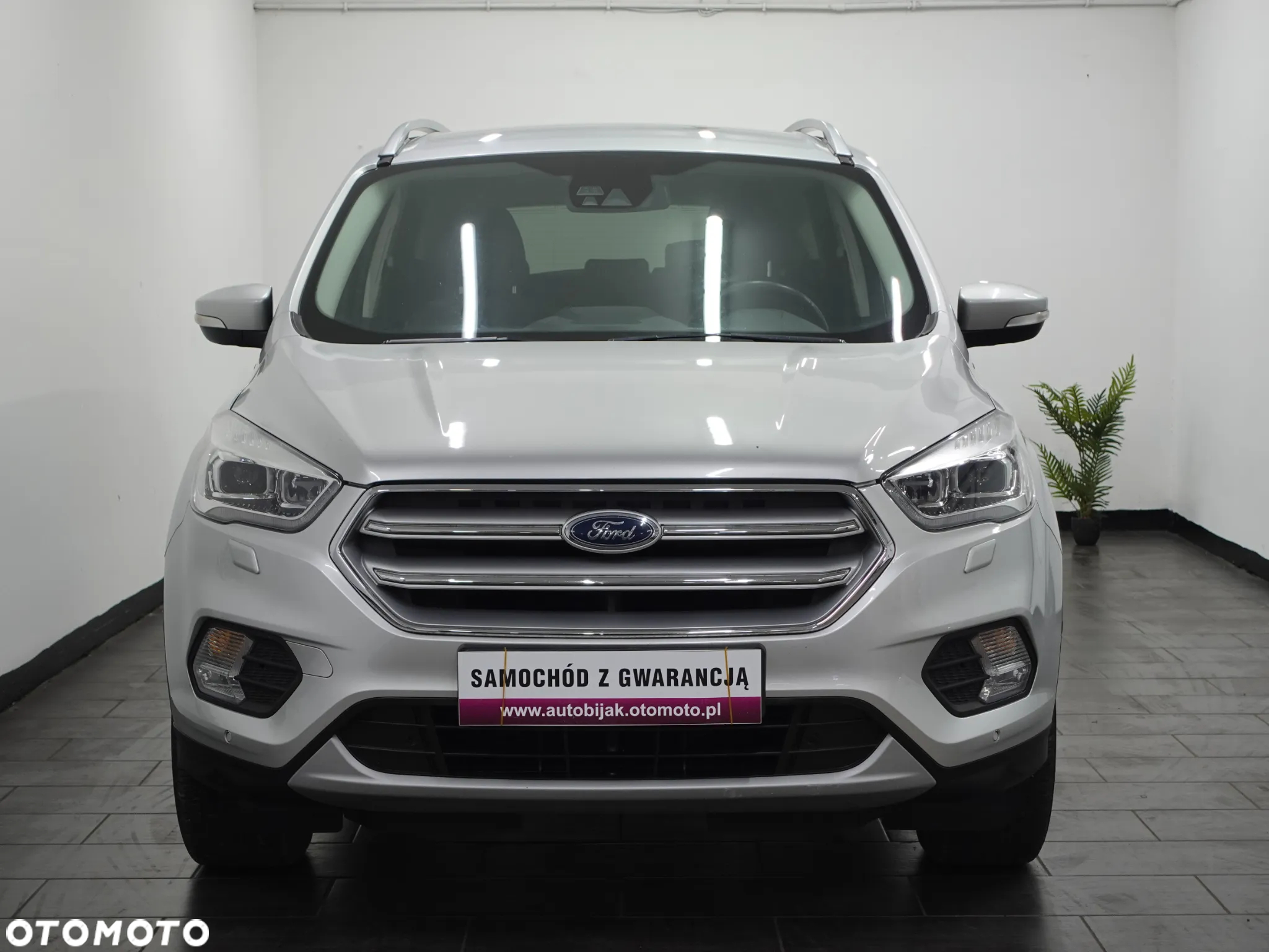 Ford Kuga 1.5 EcoBoost AWD Edition ASS - 12