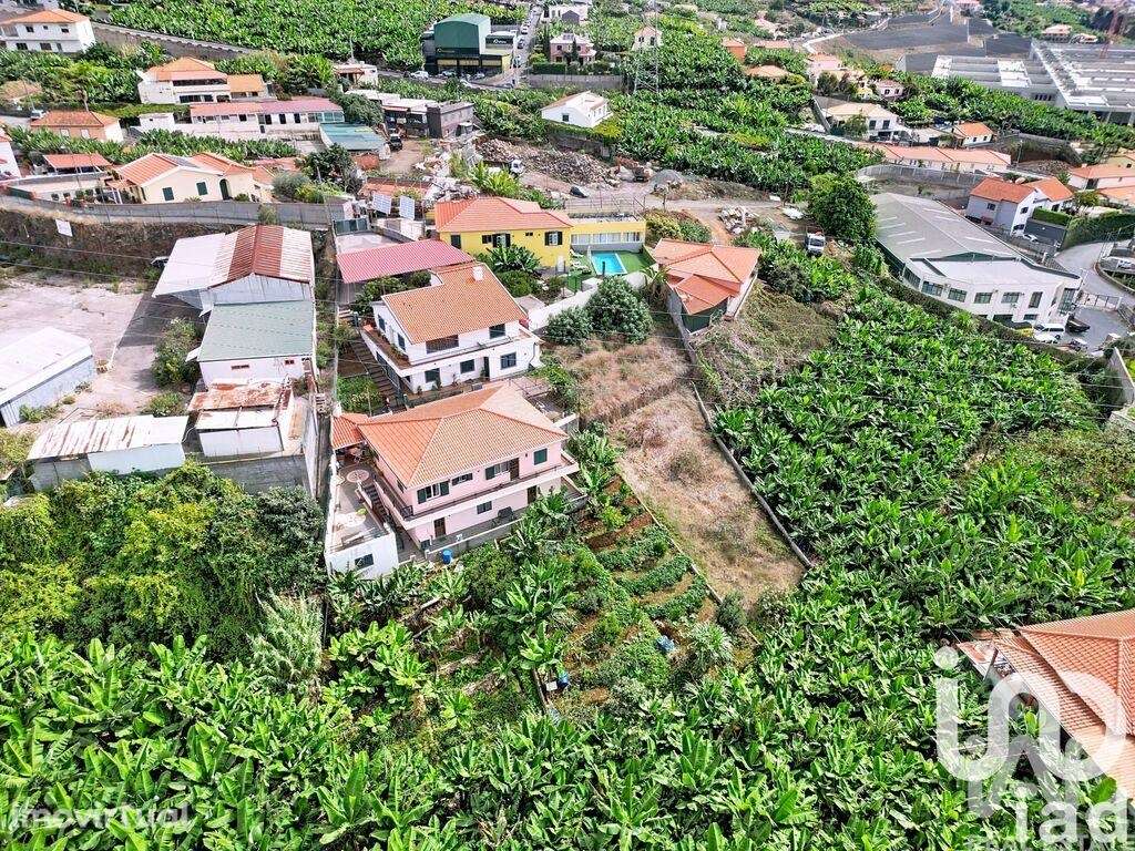 Terreno Agrícola em São Martinho - Grande imagem: 3/10