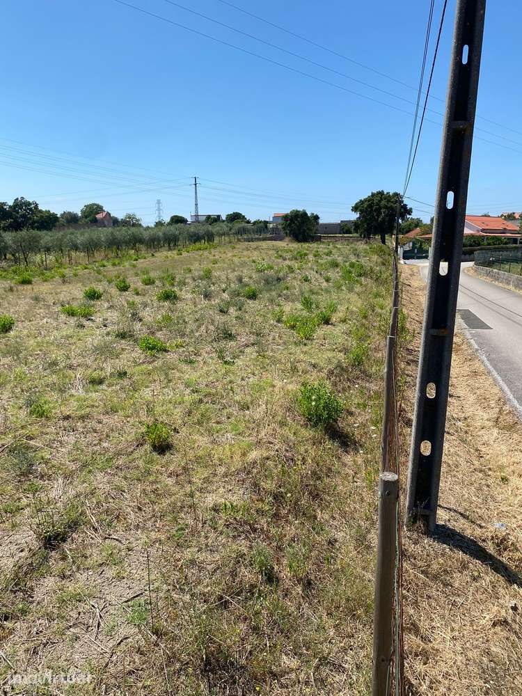 Terreno de 8.240 M2 com 2 Parcelas Urbanas - Grande imagem: 3/11