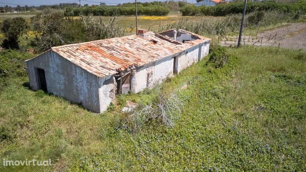 Quintinha Rogil - Grande imagem: 2/19