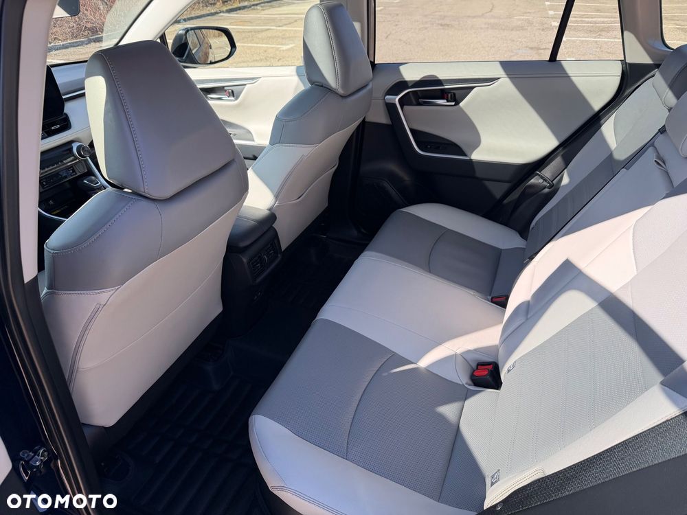 Toyota RAV4 - 17