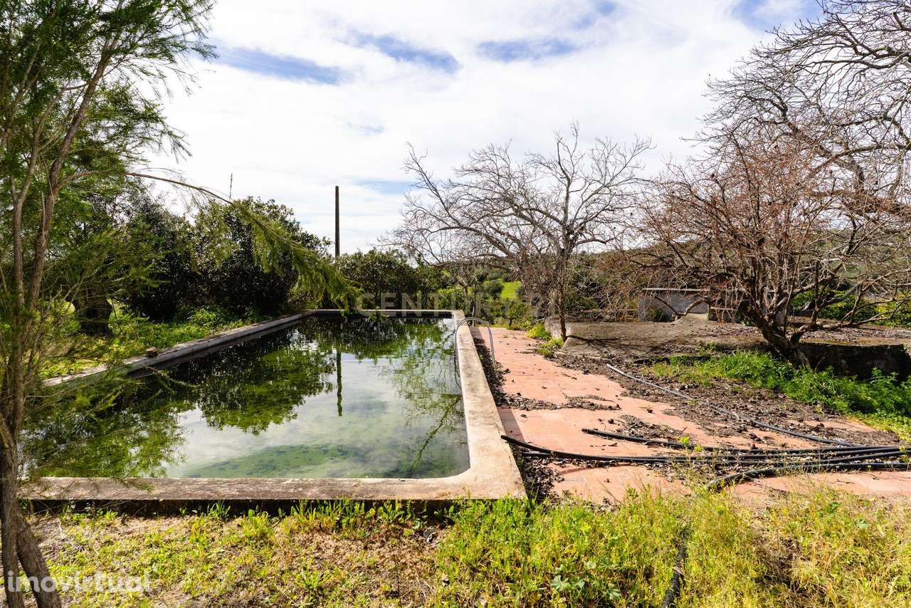 Monte típico 15ha Reguengos Monsaraz "Corval" 5 divisões, piscina e vi - Grande imagem: 5/43