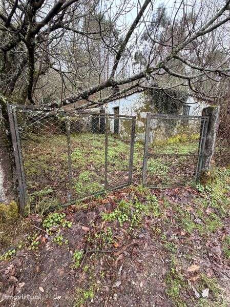 Moradia T1 Excelente Potencial - Grande imagem: 5/5