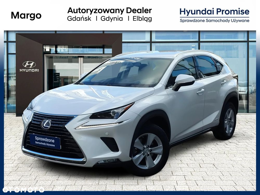 Lexus NX 300 Business Edition AWD - 2