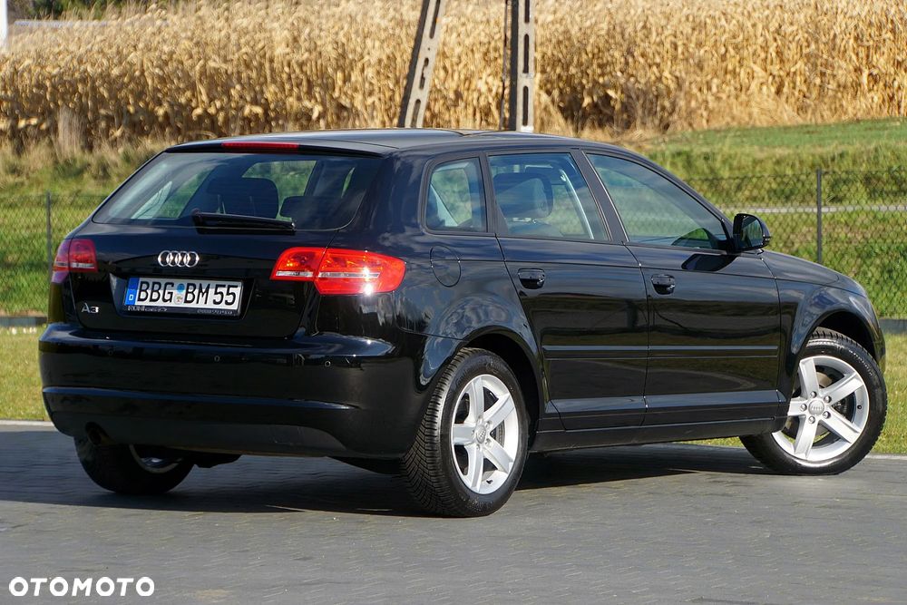 Audi A3 Sportback 1.6 Attraction - 14