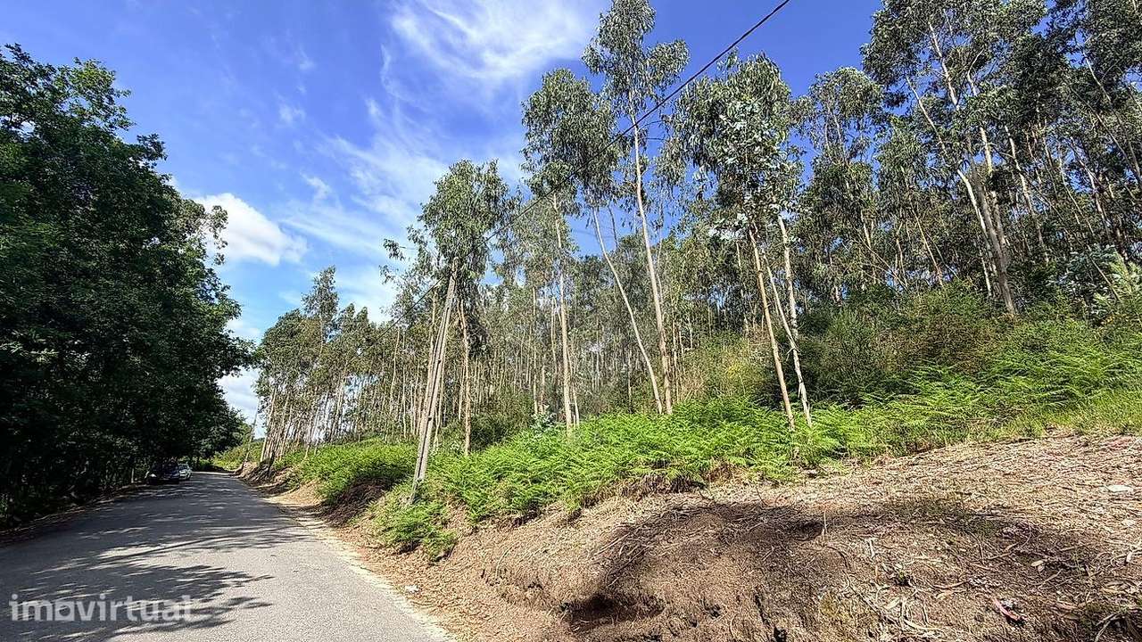 Terreno  para venda - Grande imagem: 4/4