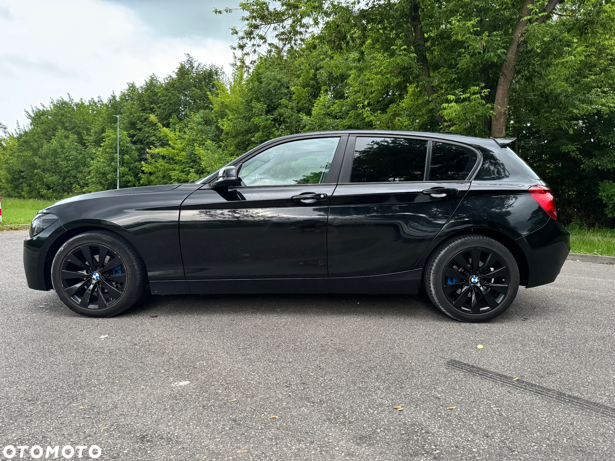 BMW Seria 1 116i - 19