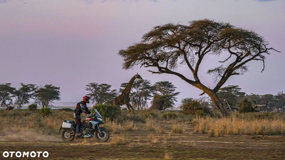 Ducati Multistrada - 21