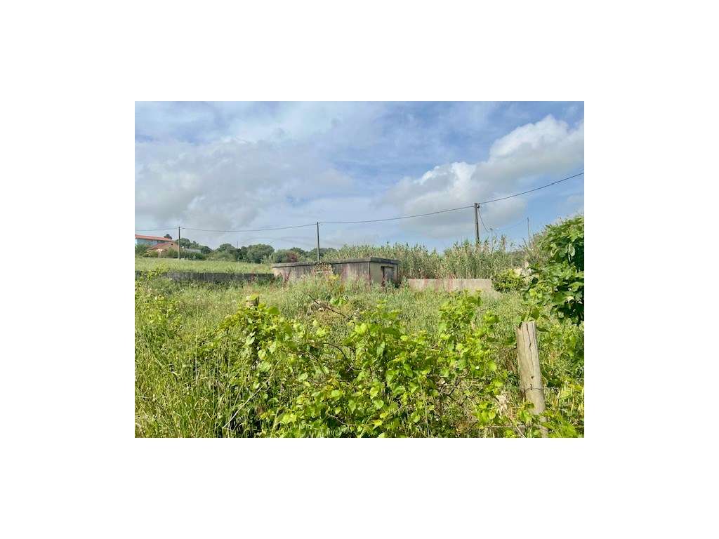 Lote de Terreno na Murteira - Grande imagem: 2/4