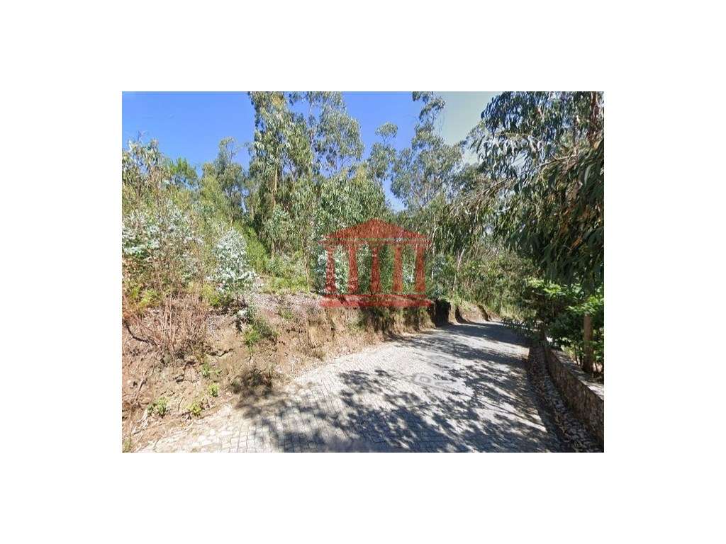 TERRENO PARA CONSTRUÇÃO - Grande imagem: 3/10