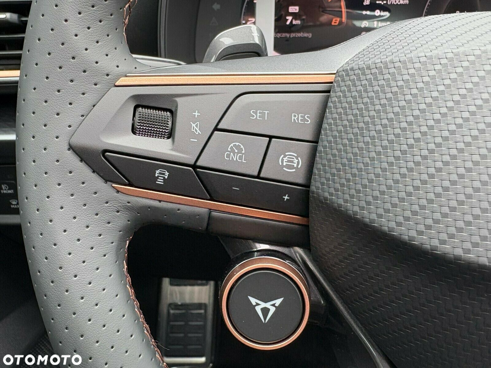 Cupra Formentor 2.0 TSI 4Drive VZ DSG - 24