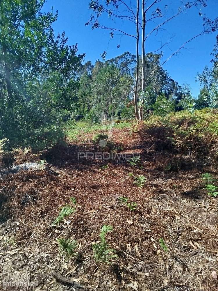 Terreno perto da Ria - Grande imagem: 2/7
