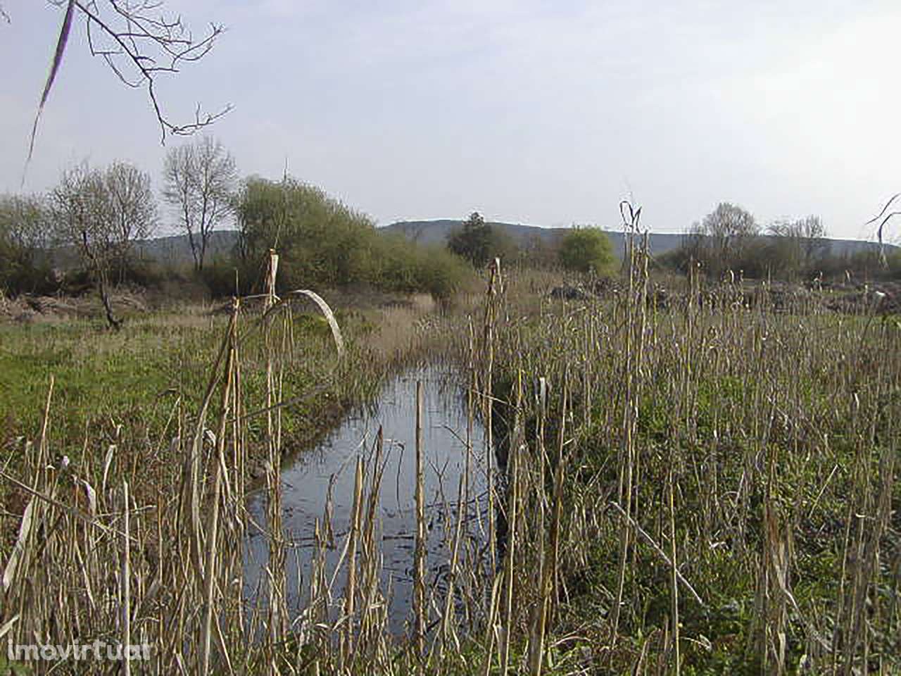 Quinta - Soure - Coimbra - Grande imagem: 5/8