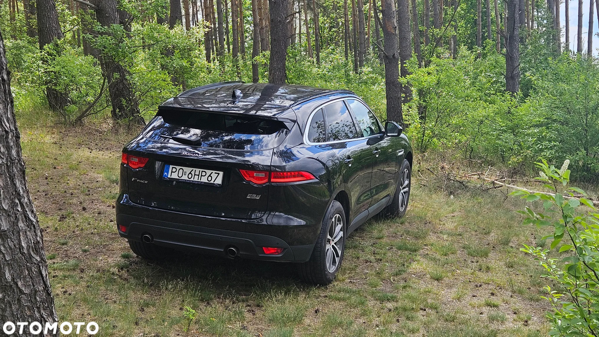 Jaguar F-Pace 2.0 i4D AWD Portfolio - 5