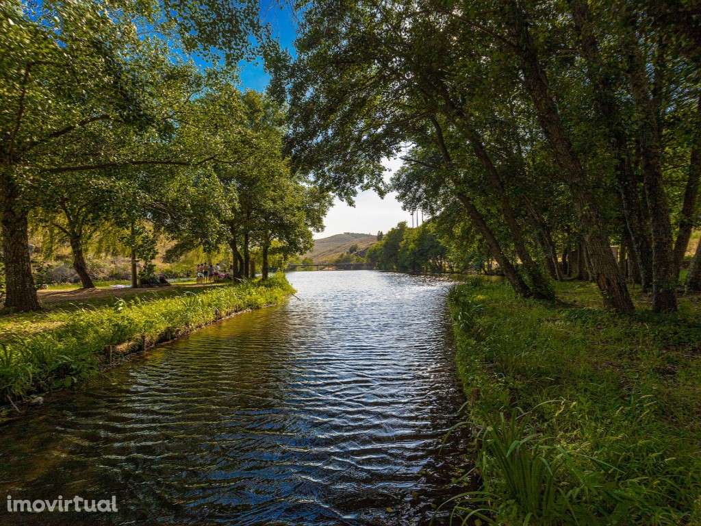 . Terreno Rústico com 29.080 m² junto à Ribeira Mação - Grande imagem: 2/15