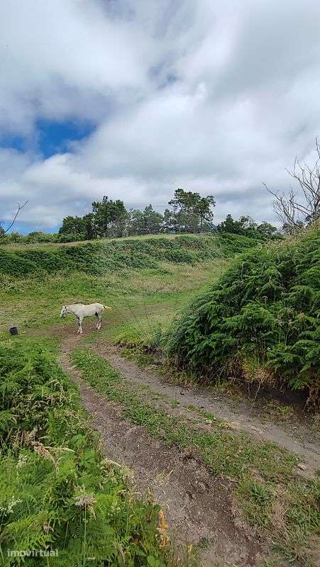 Terreno  para venda - Grande imagem: 3/10