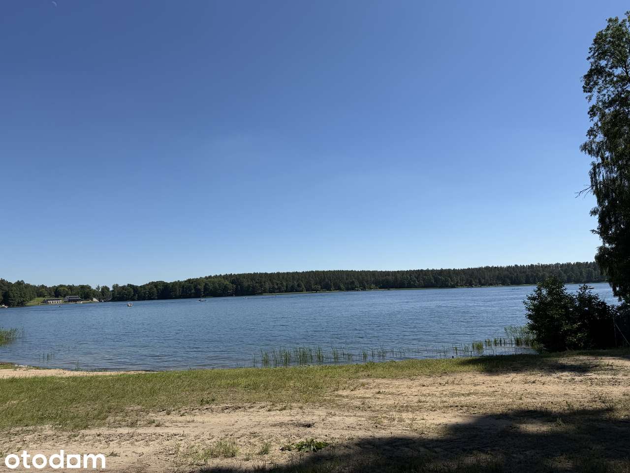 Działka budowlana z linią brzegową 60 m, jeziora Białe, Augustów - Pełny obrazek: 4/17