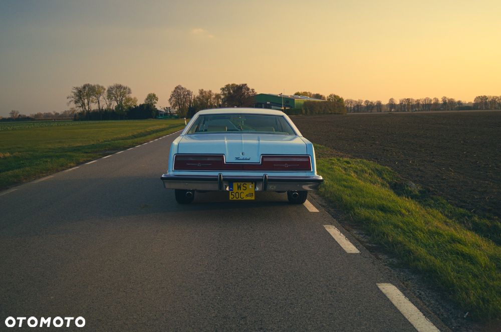Ford Thunderbird - 19