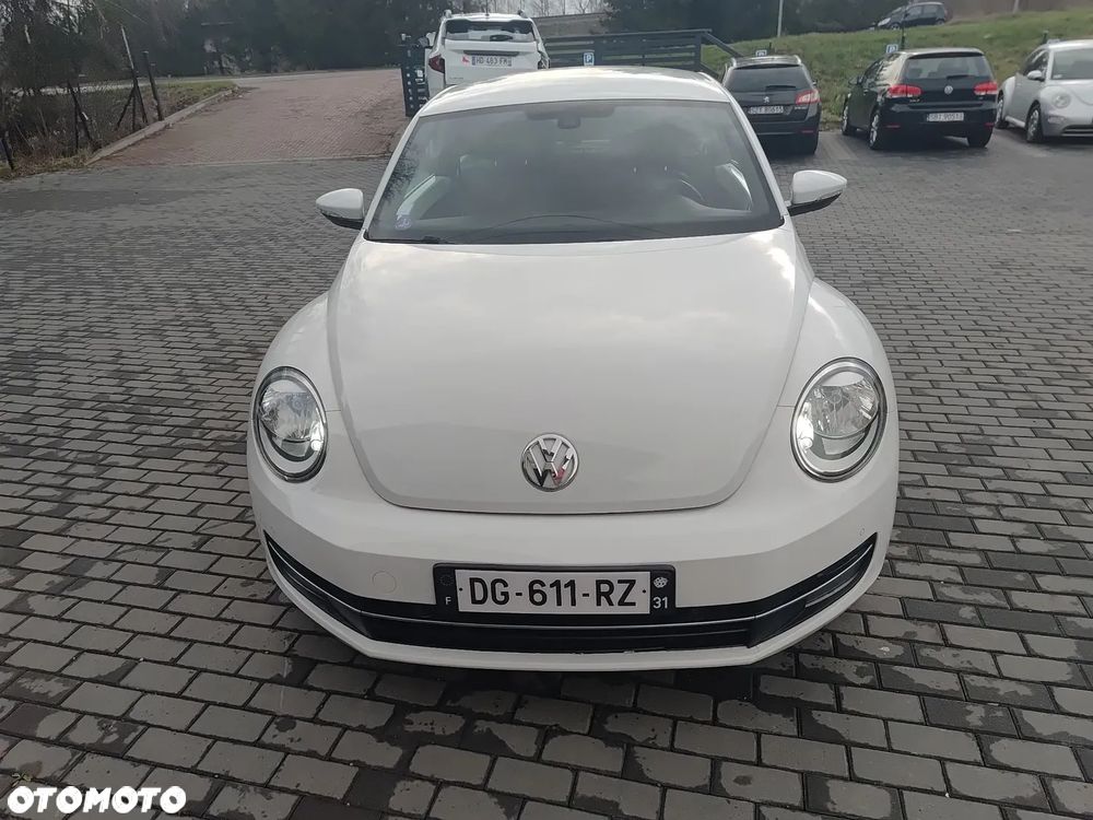 Volkswagen Beetle - 25