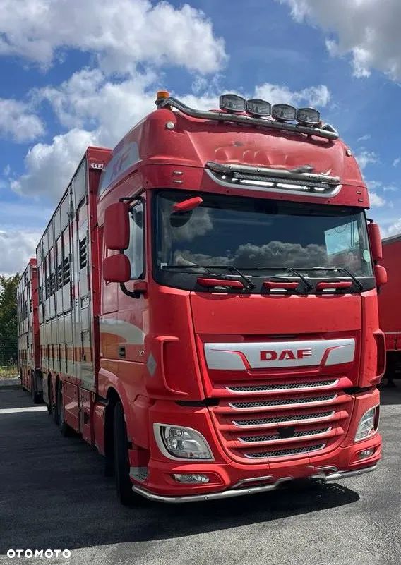 DAF XF 530 + Przyczepa Pezzaoli - 3X Trzoda, 2 X Bydło I 3 poziomy I Podnoszony dach I Hydroburta I Osie Skrętne I Poidła I Wentylatory I Pilot Manualny | - 1
