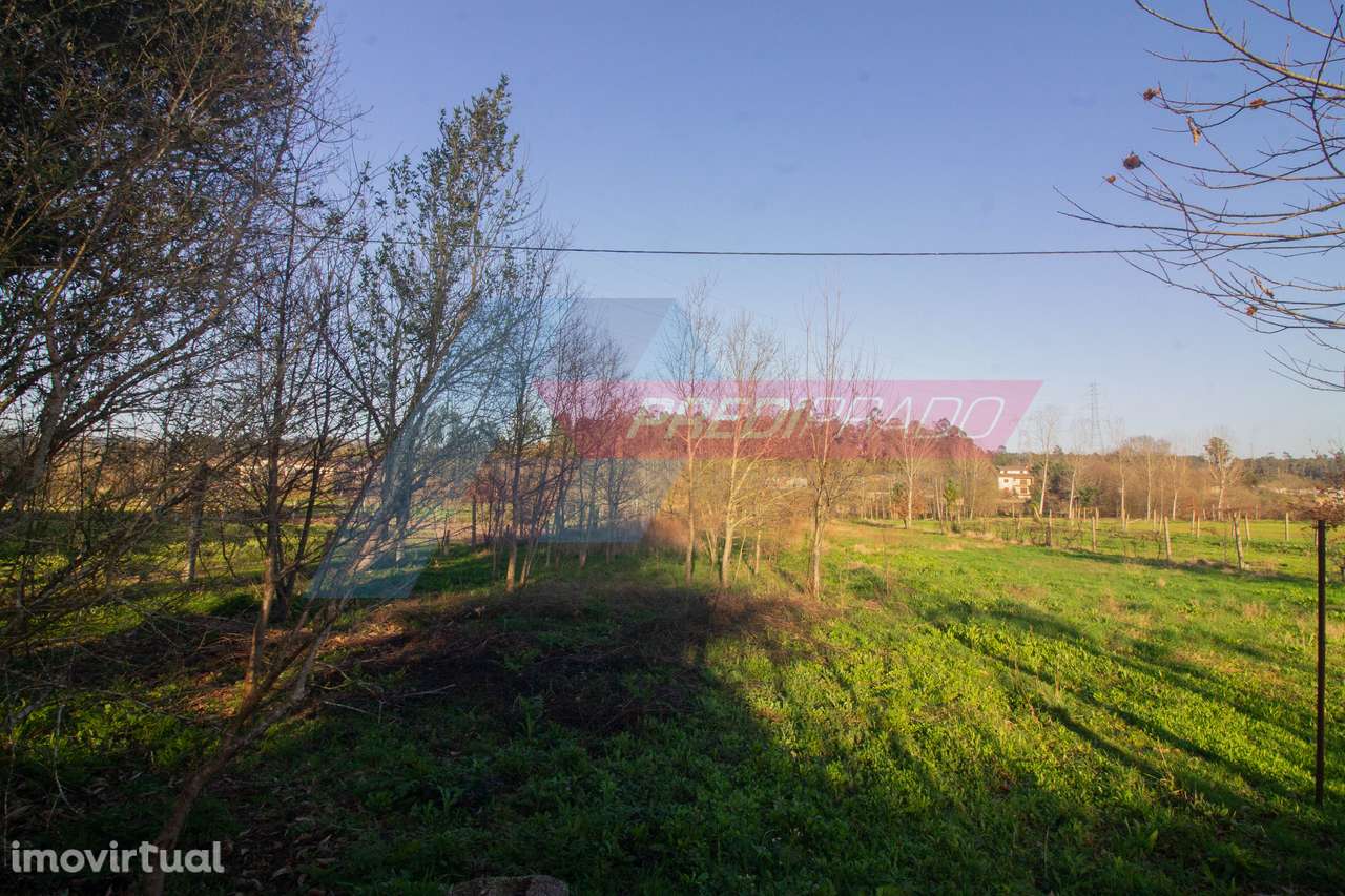 Terreno Agrícola em Escariz S. Mamede - Grande imagem: 4/8