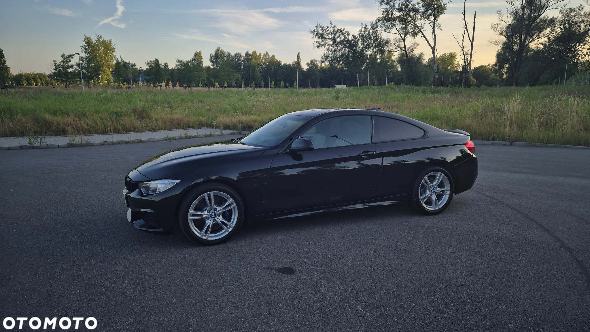 BMW Seria 4 435i Coupe Sport-Aut M Sport - 6