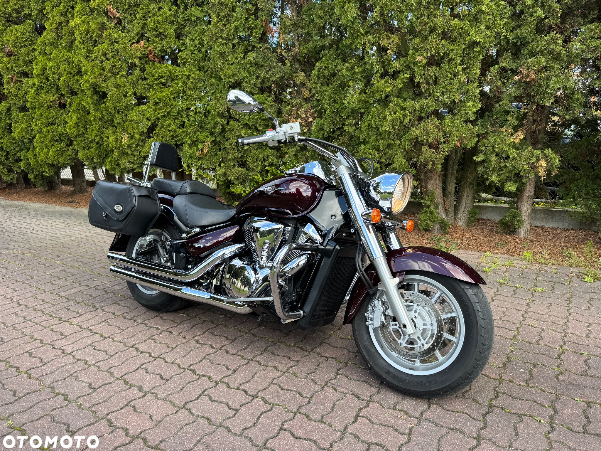 Suzuki Intruder - 3