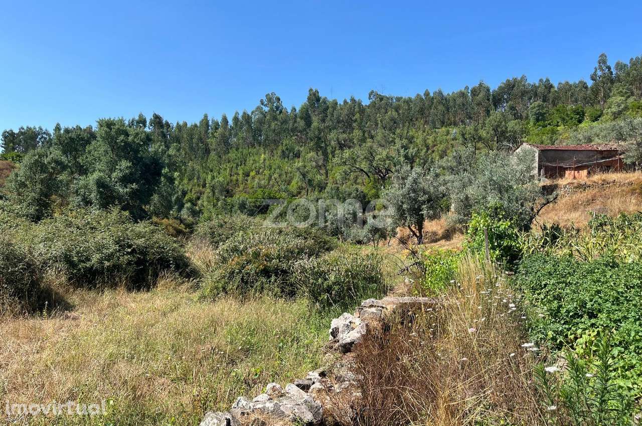 Terreno de 4992m2 com ruína em pedra na Sertã - Grande imagem: 5/17