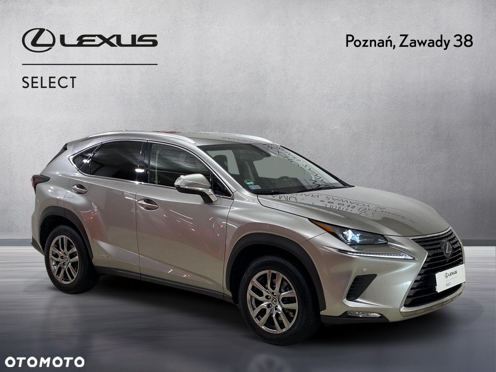 Lexus NX 300h Business Edition AWD - 4