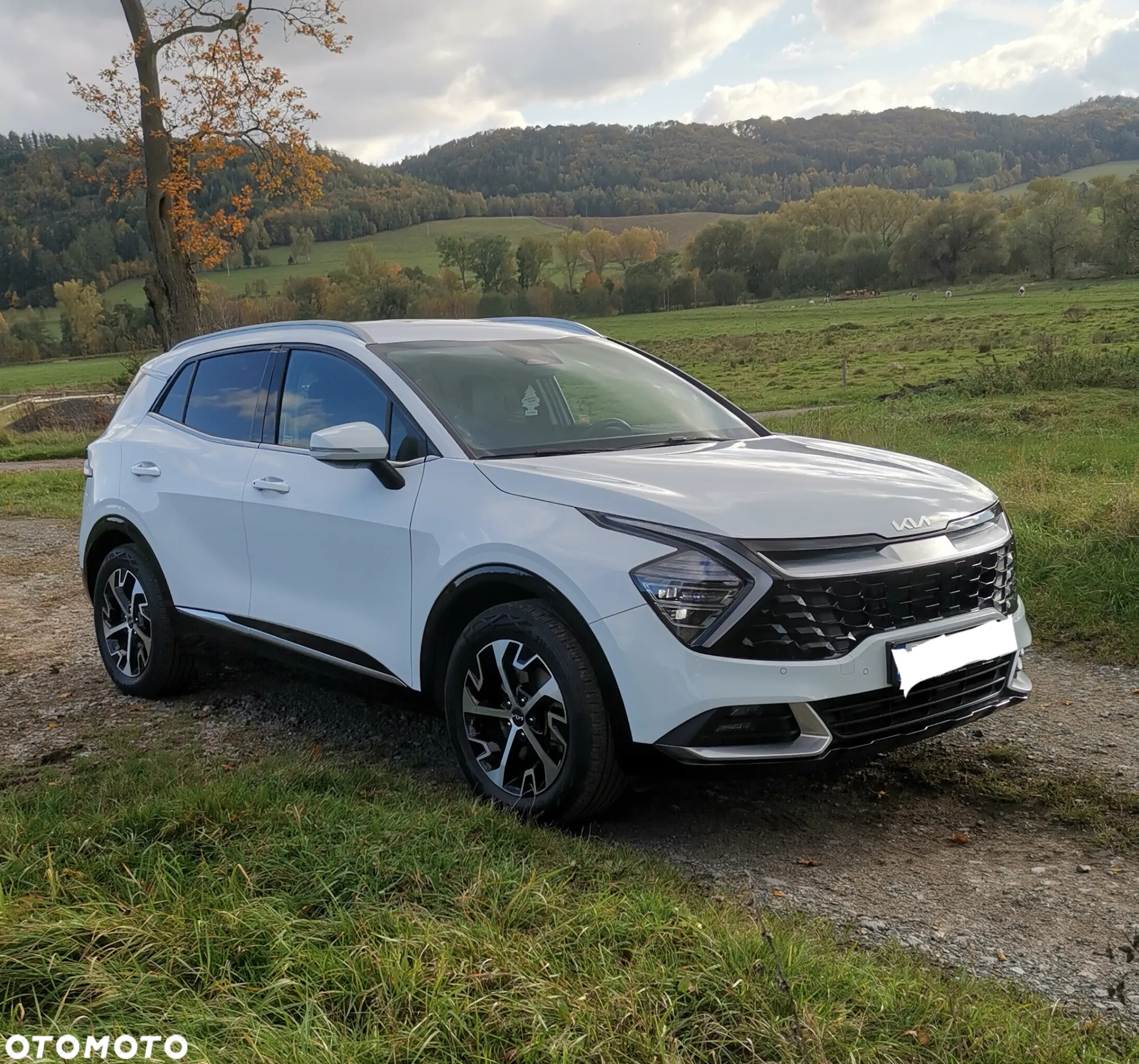 Kia Sportage 1.6 T-GDI Business Line 2WD - 10