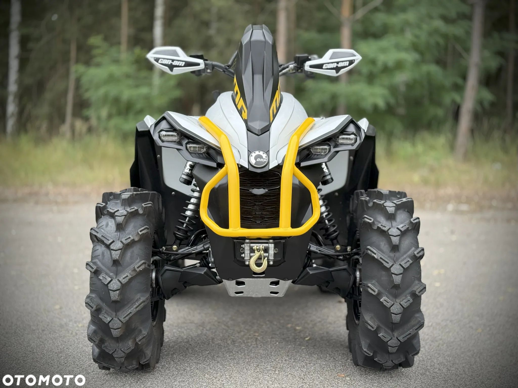 Can-Am Renegade