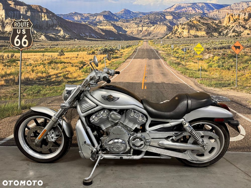 Harley-Davidson V-Rod Street Rod - 5