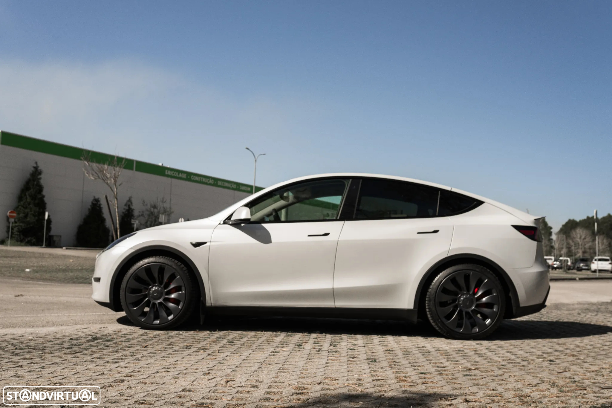 Tesla Model Y Performance Dual Motor AWD - 17