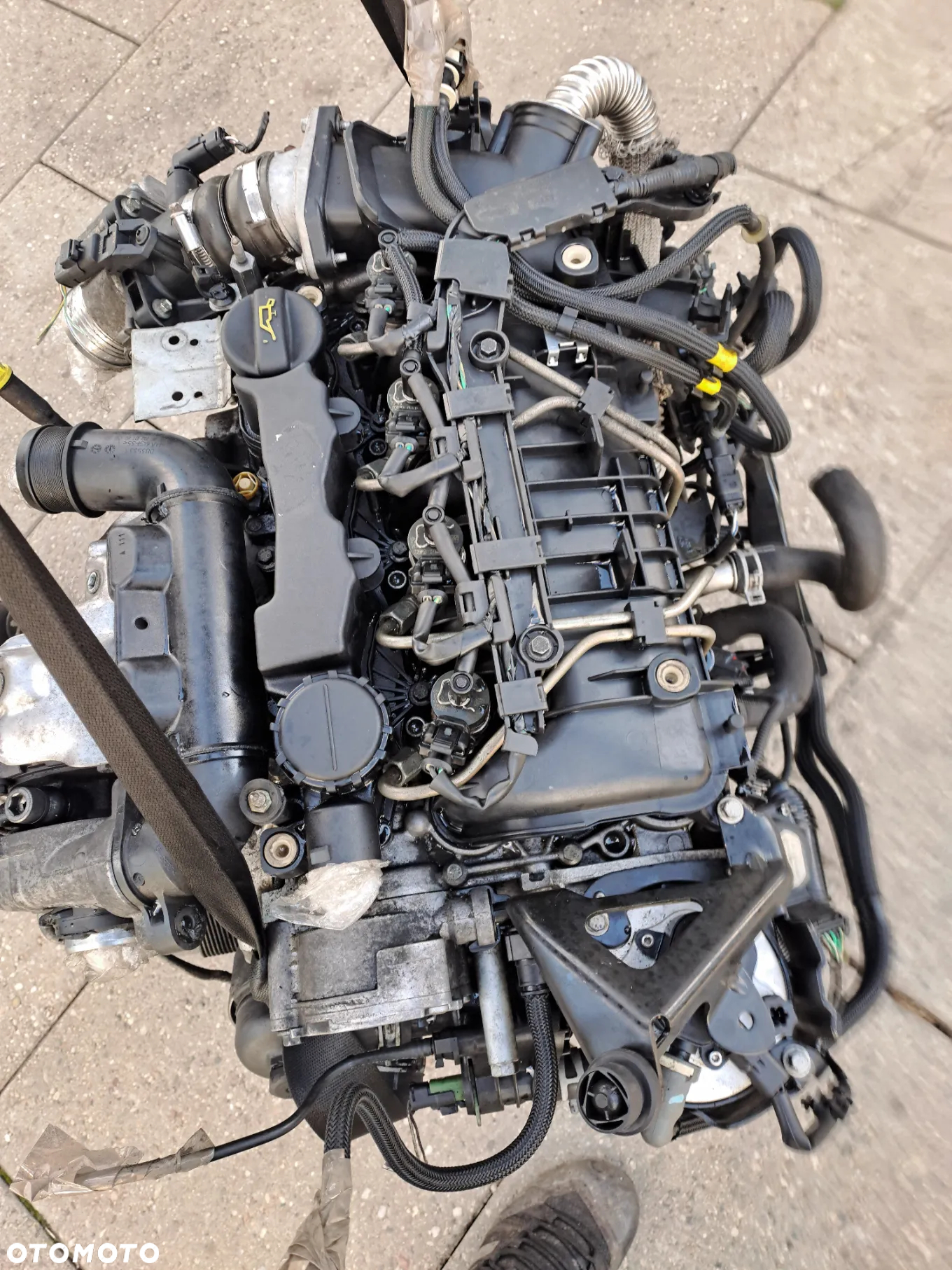 Ford Focus MK2 1.6 TDCi silnik kompletny kod G8DB G8DA G8DD G8DE G8DF - 5