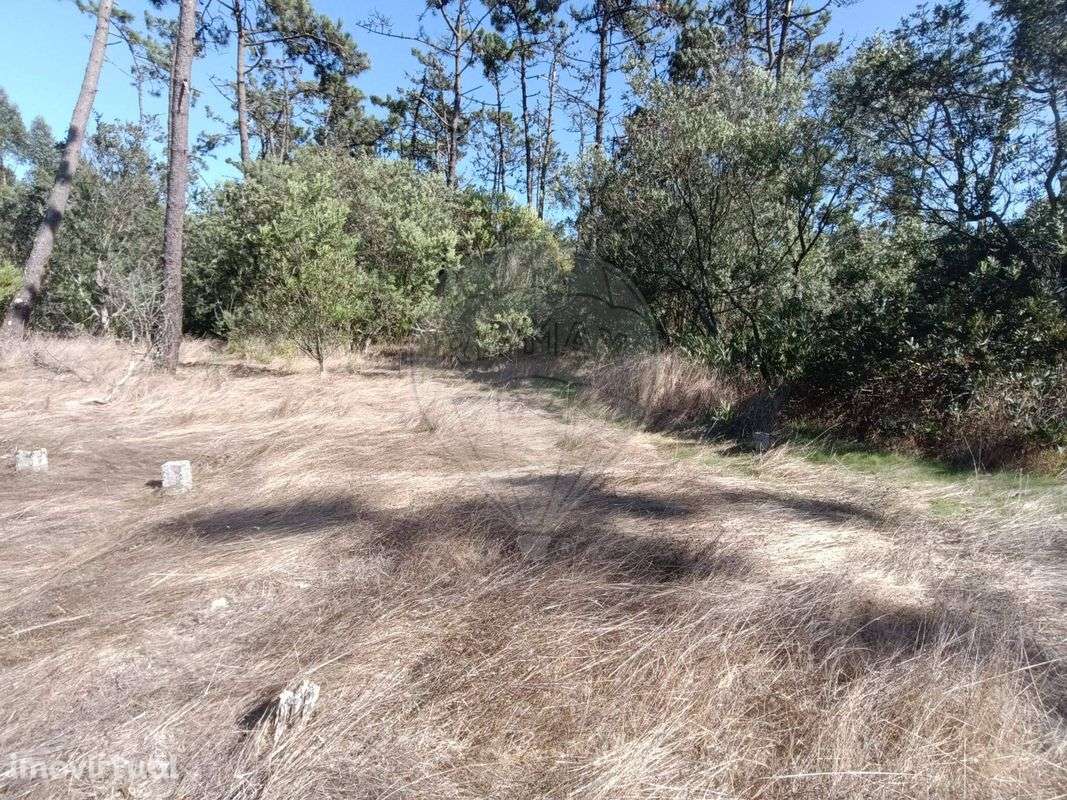 Terreno  para venda - Grande imagem: 3/5