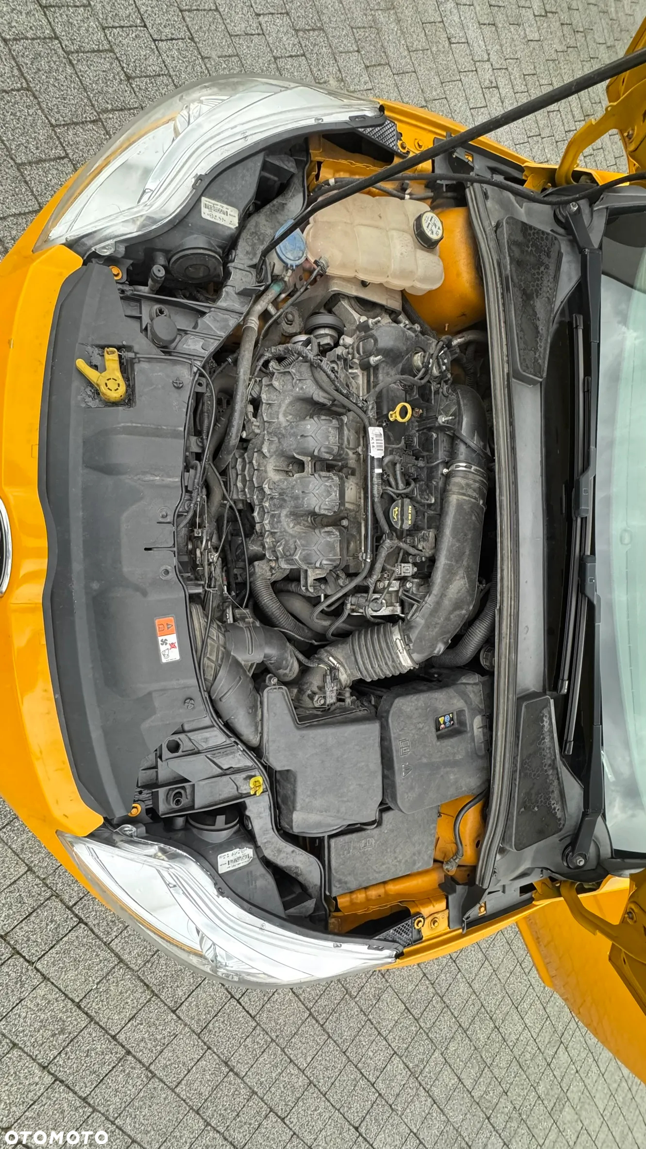 Ford Focus 2.0 EcoBoost ST - 16