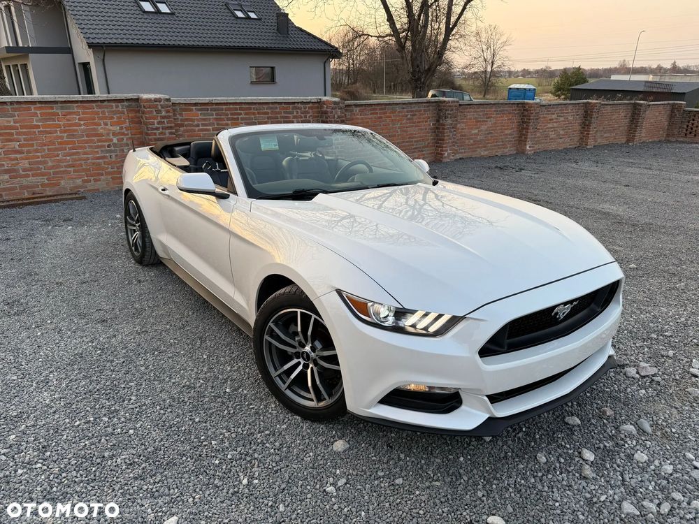 Ford Mustang 3.7 V6 - 28