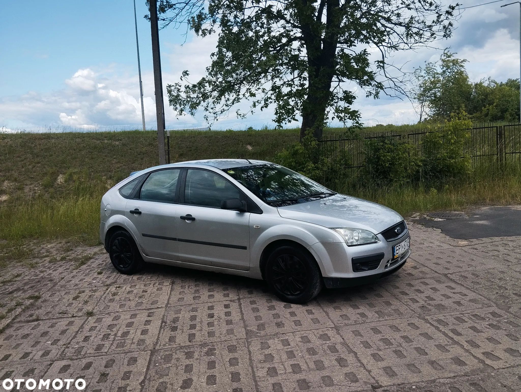 Ford Focus - 1