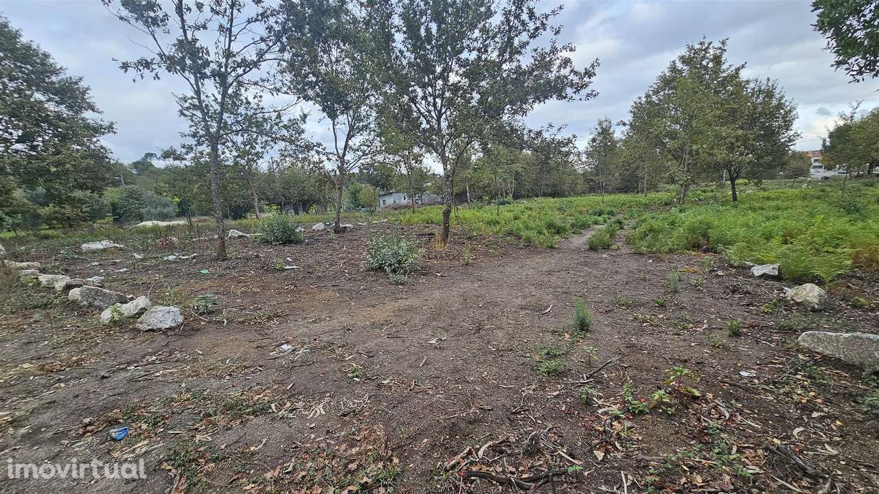 Terreno Rústico  Venda em Rio de Loba,Viseu - Grande imagem: 5/5