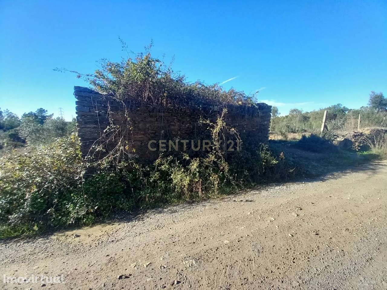 Quintinha com 15.540m2 Sarnadas de Ródão - Grande imagem: 3/19